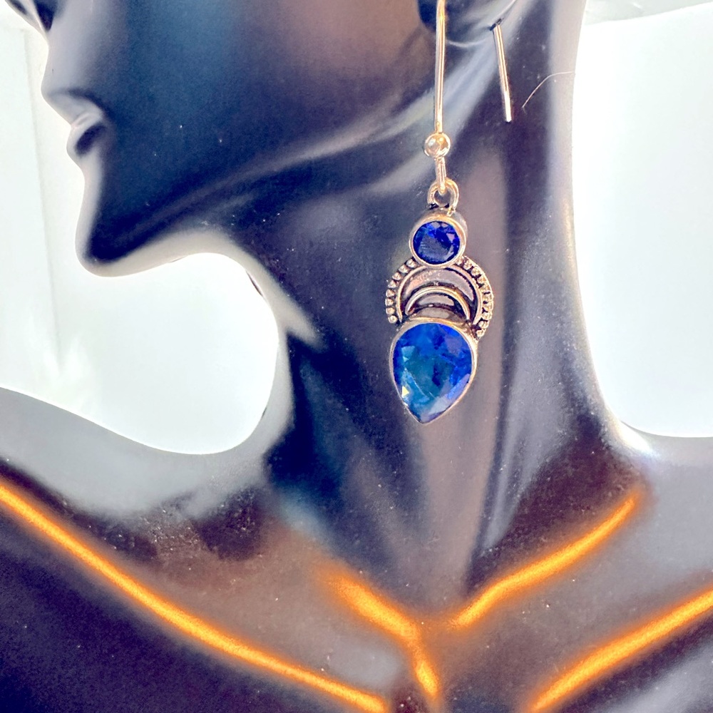 Blue Colored Dangling Earrings NEW